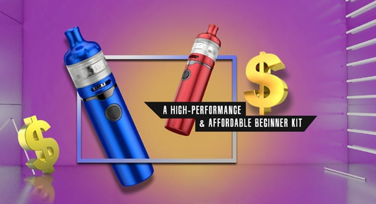 Anteprima kit Vandy Vape BSKR S - Diddy Little Starter Vape Pen!