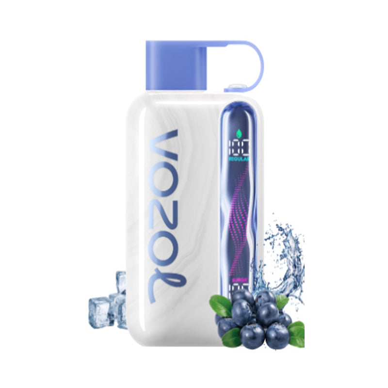 Kit monouso ricaricabile Vozol Star 40000 Puffs 20ml (40K Puffs)