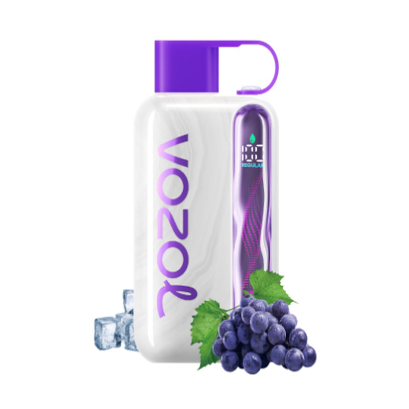 Kit monouso ricaricabile Vozol Star 40000 Puffs 20ml (40K Puffs)