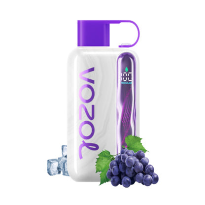 Kit monouso ricaricabile Vozol Star 40000 Puffs 20ml (40K Puffs)