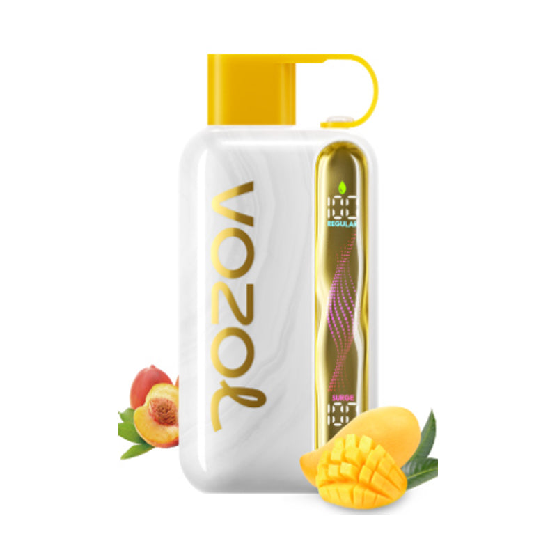 Kit monouso ricaricabile Vozol Star 40000 Puffs 20ml (40K Puffs)