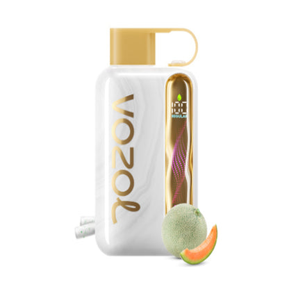 Kit monouso ricaricabile Vozol Star 40000 Puffs 20ml (40K Puffs)