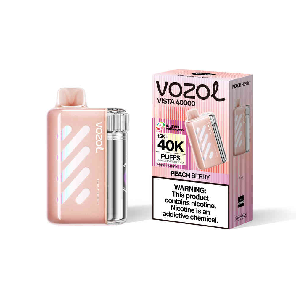 Kit monouso ricaricabile VOZOL Vista 40000 Puffs 20ml(40K Puffs)
