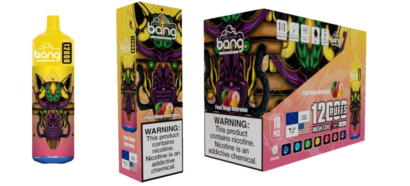 Bang 12000 Puffs Kit monouso ricaricabile 10 pezzi/confezione