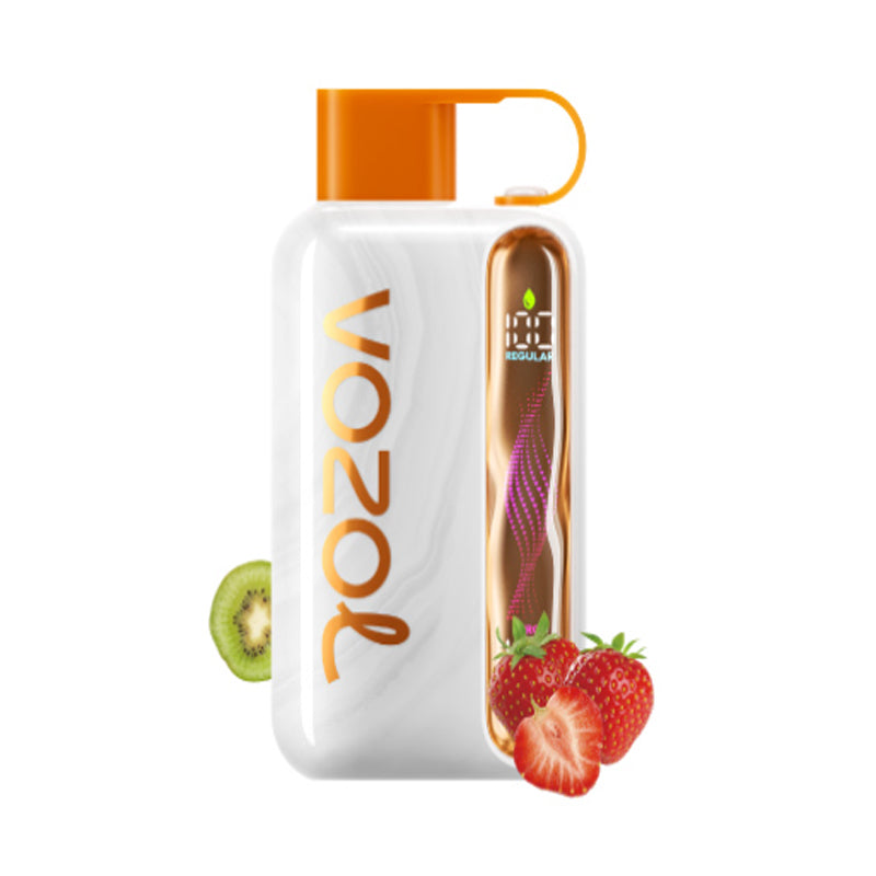 Kit monouso ricaricabile Vozol Star 40000 Puffs 20ml (40K Puffs)