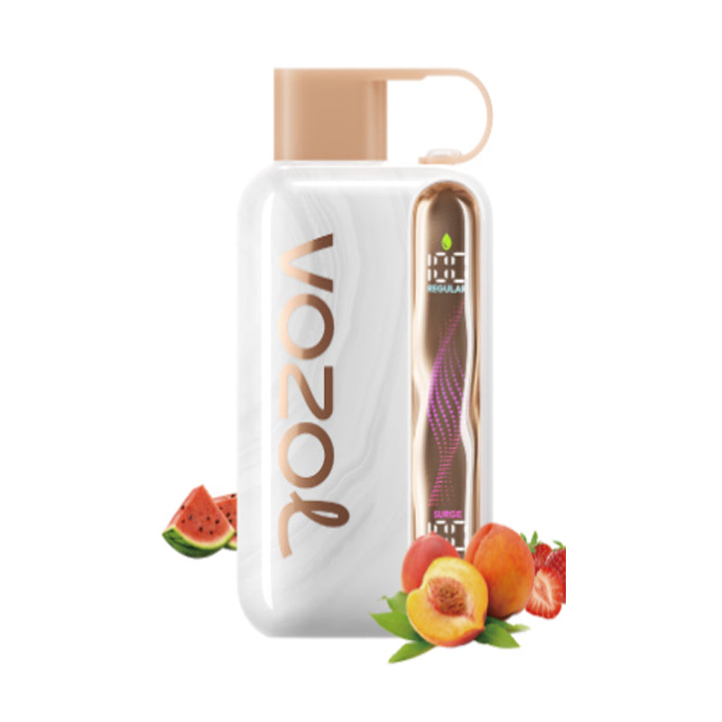 Kit monouso ricaricabile Vozol Star 40000 Puffs 20ml (40K Puffs)