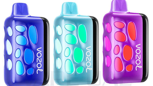 Kit monouso Vozol Rave 40000 40K Puffs 20mg