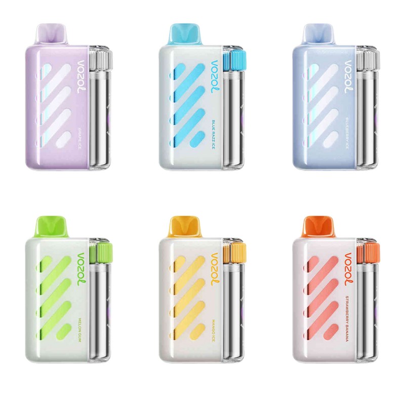 Kit monouso ricaricabile VOZOL Vista 40000 Puffs 20ml(40K Puffs)