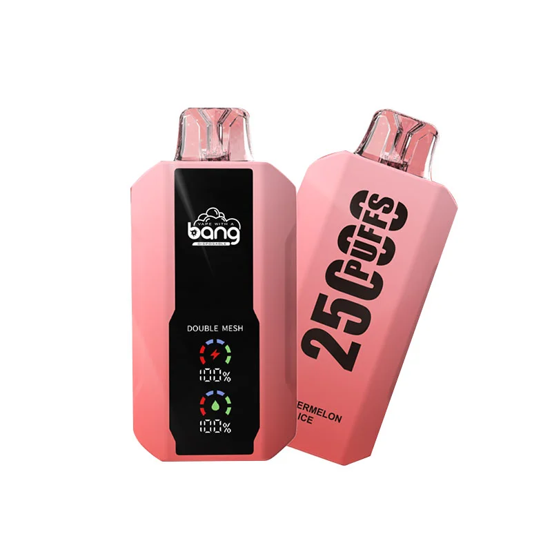 Bang 25000 Puffs Kit monouso ricaricabile (display LED)