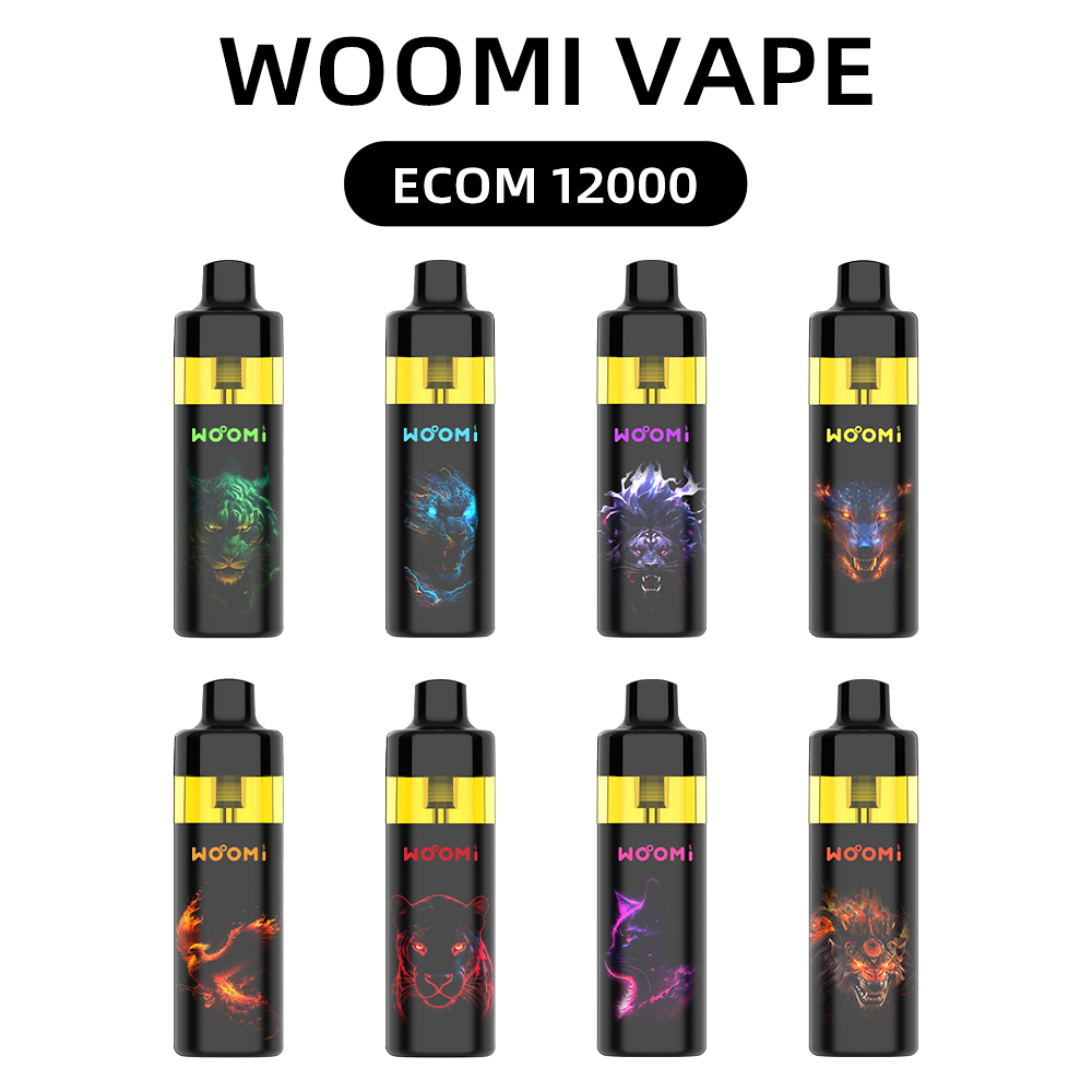 Woomi ECOM 12000 Kit Pod Ricaricabile 10pz/confezione