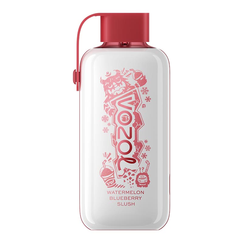 [Clearance Sale] Vozol Star 20000 Puffs Dual Power Ricaricabile Monouso Kit