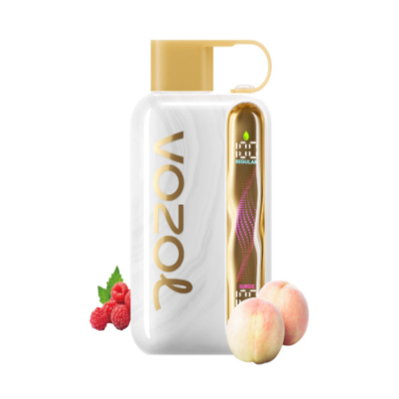 Kit monouso ricaricabile Vozol Star 40000 Puffs 20ml (40K Puffs)